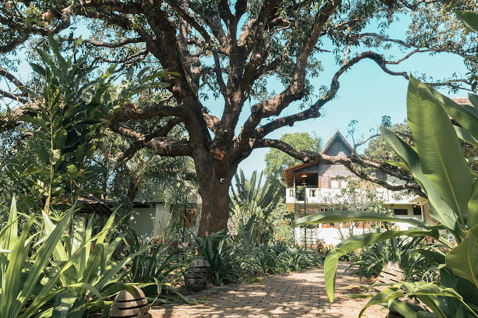 Experience Bliss - Retreat - Goa